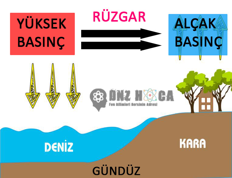 DENIZ-MELTEMI-2 8. Sınıf İklim ve Hava Hareketleri Konu Anlatımı
