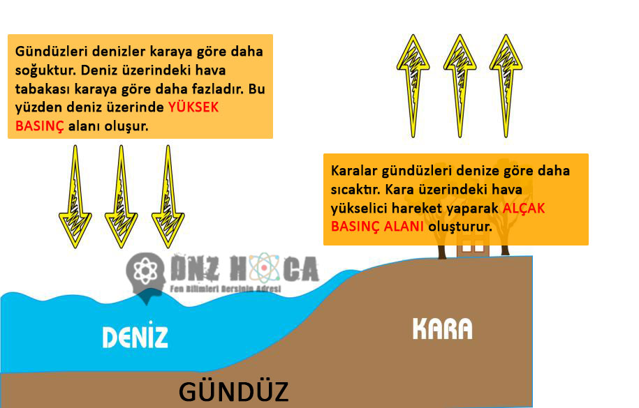 DENIZ-MELTEMI_1 8. Sınıf İklim ve Hava Hareketleri Konu Anlatımı