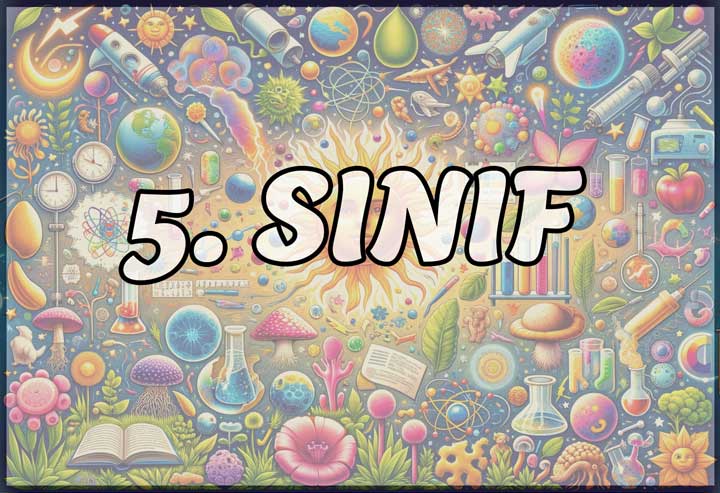 ana-gorsel-5.-sinif-dnzhoca Fen Bilimleri Oyun ve Etkinlik Merkezi: Eğlenerek Öğren!