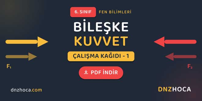 6. Sınıf Bileşke Kuvvet Çalışma Kağıdı 1 PDF