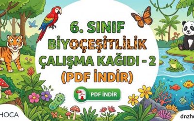 6. Sınıf Biyoçeşitlilik Çalışma Kağıdı 2 (PDF İndir)