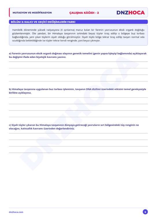 DNZHOCA_Mutasyon_Modifikasyon_Calisma_Kagidi_2_Sayfa_5-Orta 8. Sınıf Mutasyon ve Modifikasyon Çalışma Kağıdı 2 (PDF İndir)