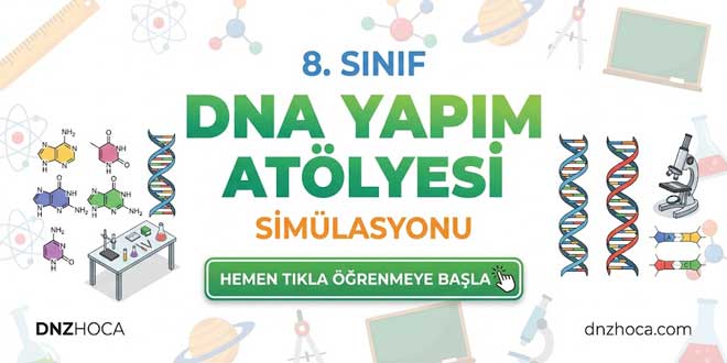 8. Sınıf DNA Yapım Atölyesi Simülasyonu | DNZHOCA