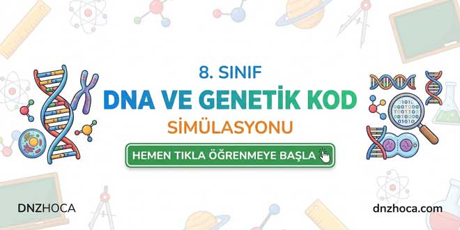 8. Sınıf DNA ve Genetik Kod Simülasyonu