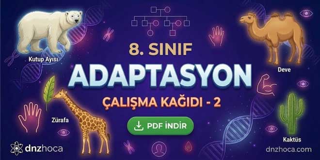 ck2adaptasyondnzhocaana 8. Sınıf Adaptasyon Etkileşimli Çalışma Kağıdı 1