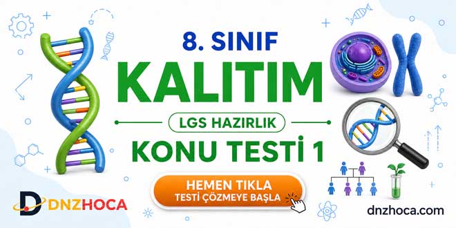 8. Sınıf Kalıtım Testi 1 | LGS Hazırlık | DNZHOCA