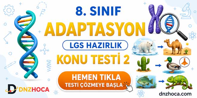8. Sınıf Adaptasyon Konu Testi 2 | LGS Hazırlık