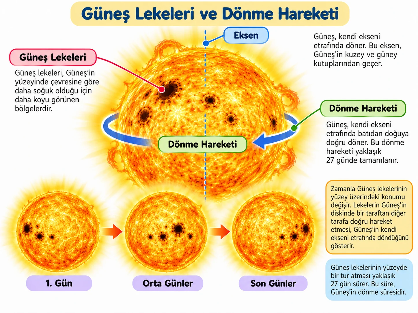 gunes_lekeleri_ve_donme_hareketi 5. Sınıf Gökyüzündeki Komşumuz Güneş Çalışma Kağıdı