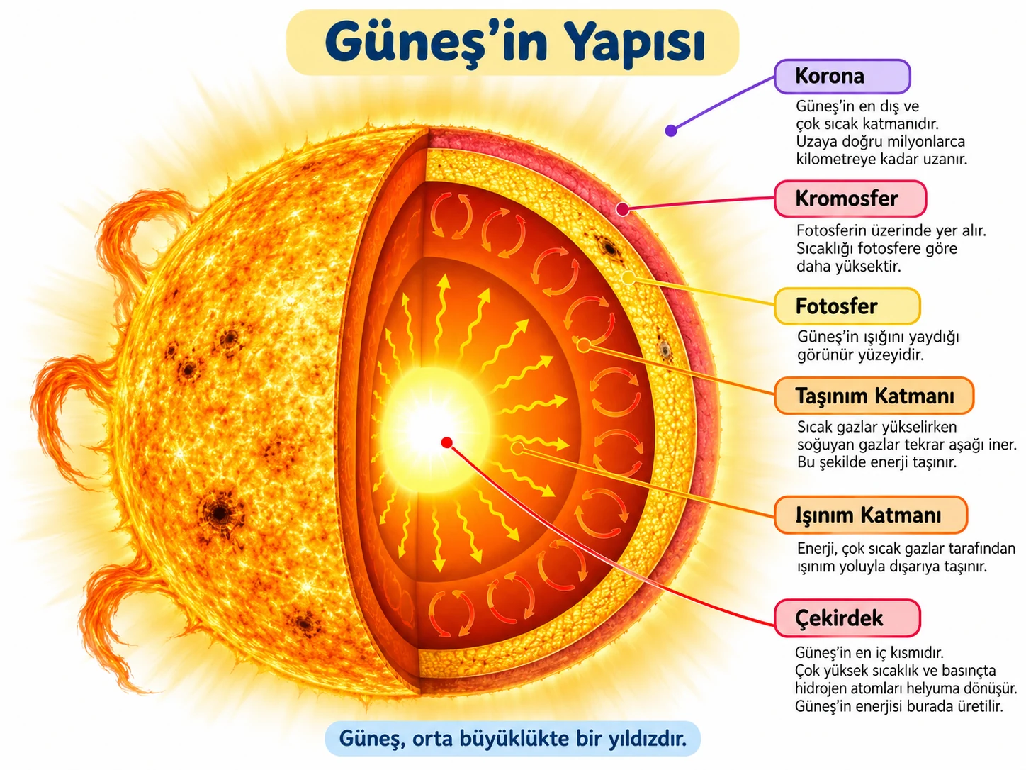 gunesin_yapisi 5. Sınıf Gökyüzündeki Komşumuz Güneş Çalışma Kağıdı